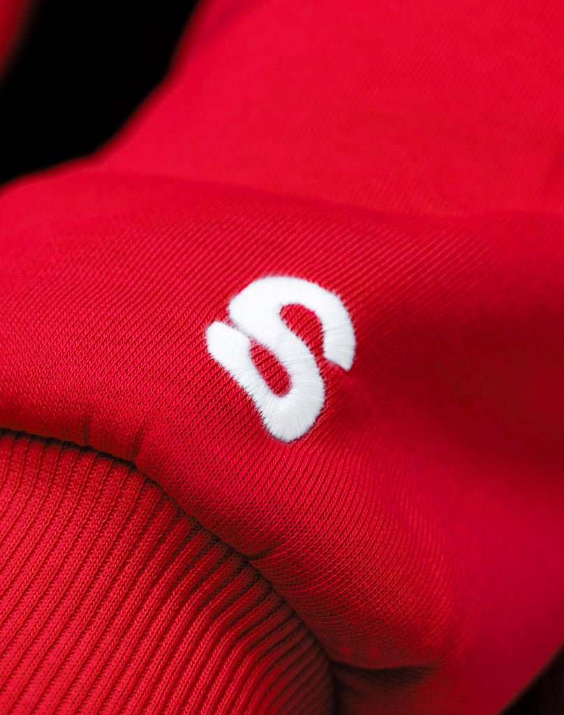BASIC HOODIE (RED) Hoodie STATEMENT