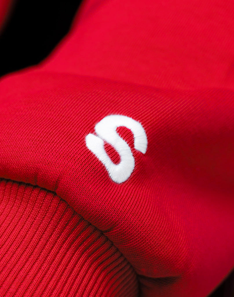 BASIC HOODIE (RED) Hoodie STATEMENT